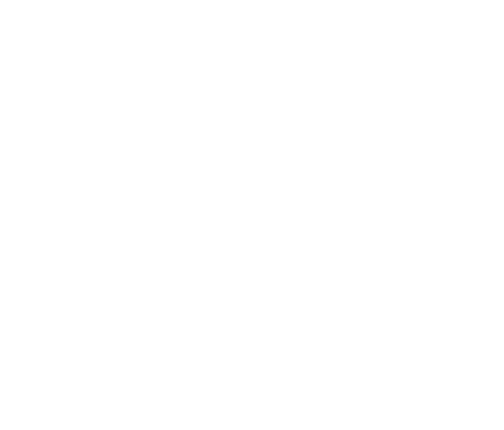 Vizzzu logo